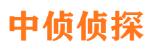 龙文侦探公司